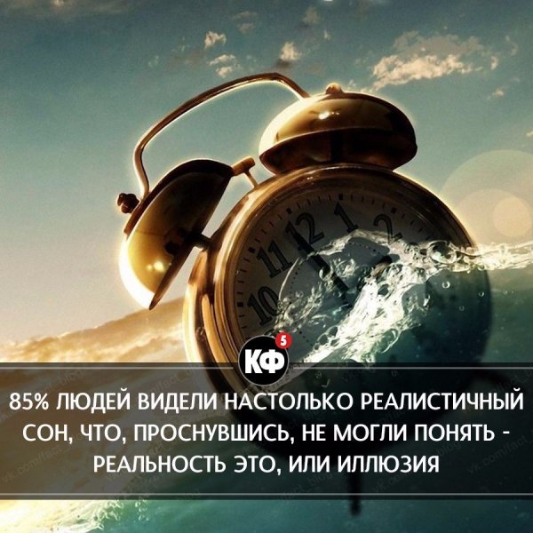 Краткие факты