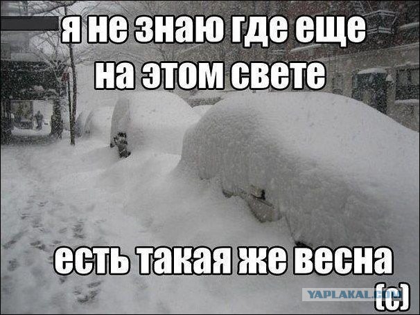 Мир, труд, май! на улице -2, еще час назад была зеленая трава и ясное небо! Сибирь!