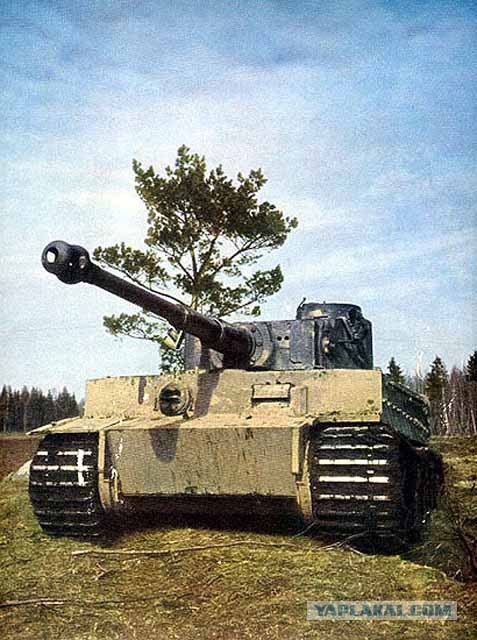 Броневик "Тигр" заступит на службу России