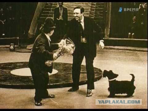 Великий маленький клоун