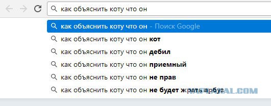 Смешные комментарии из социальных сетей 01.12.2017