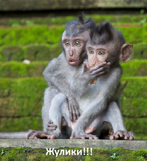 Обман автовладельцев: как дилеры разводят лохов по схеме 50х50