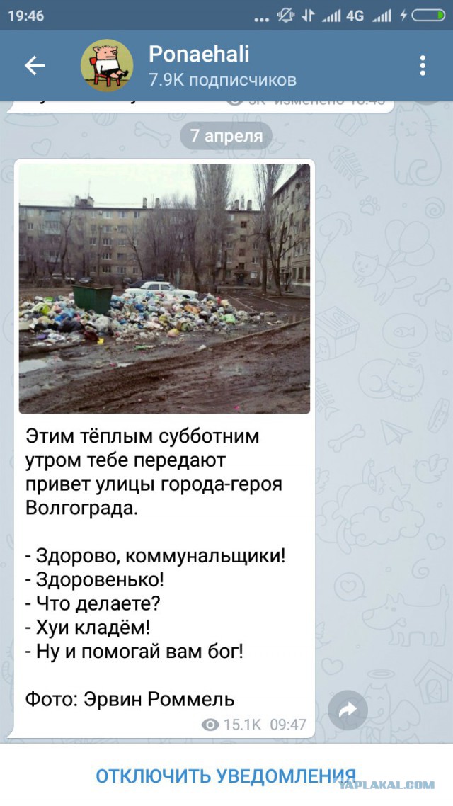 Туристы