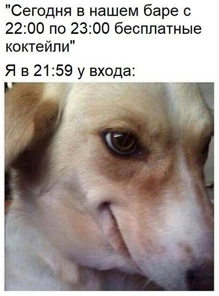 Алкоголизма пост