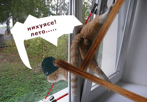 Котомет на вторник (15.04.2008)