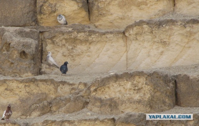 Как снимались «Откровения пирамид»: откровения участника