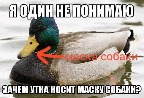 Специфический юмор