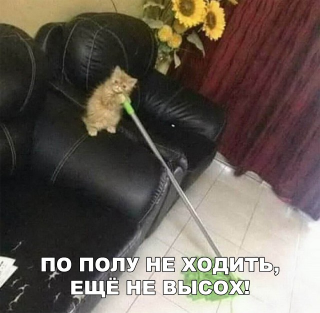 Прикольные картинки абавсём
