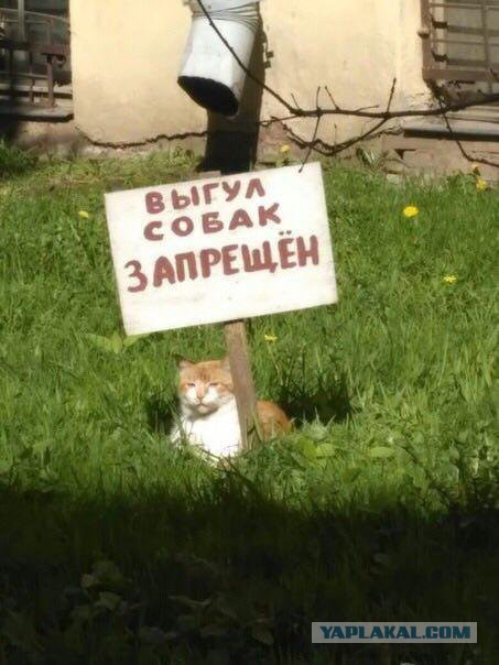 Вы что там, опять жрёте, что ли?