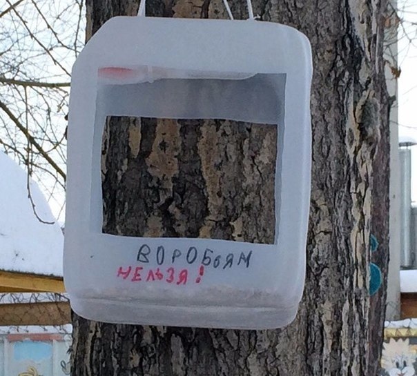 Прикольные надписи и объявления