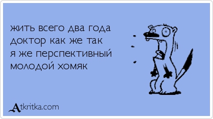 Анекдоты, истории и картинки с надписями