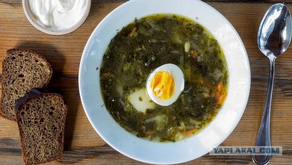 Как я суп из крапивы делал