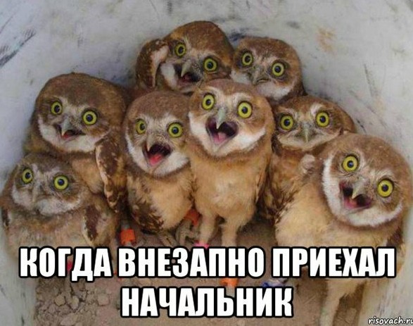 Картинки с надписями и анекдоты