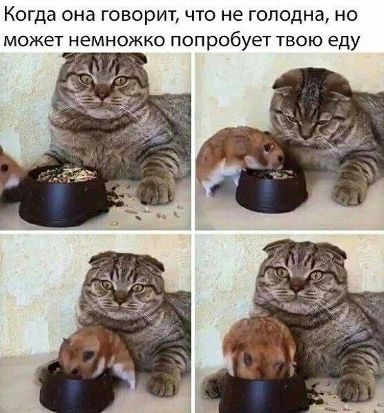 Картинки с надписями