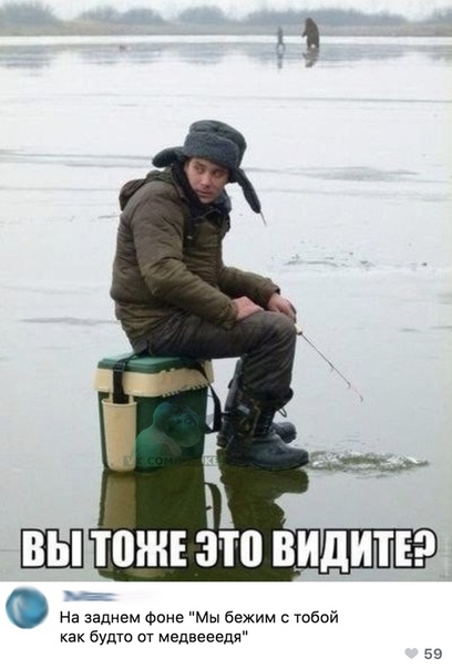 Алкопост! В картинках