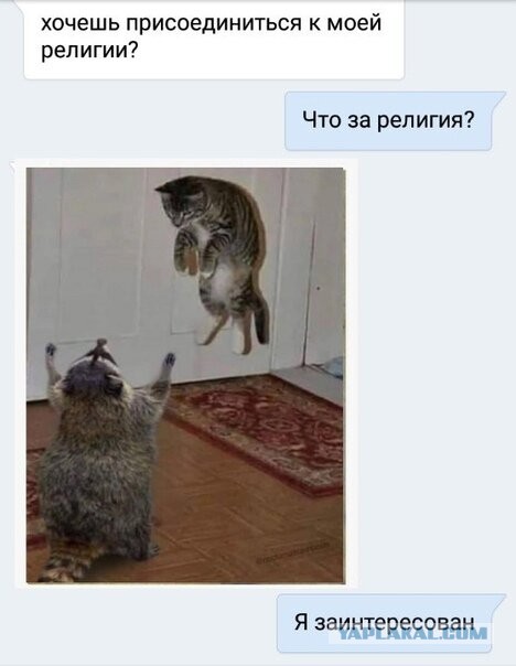 Бредзона 20.03.2020