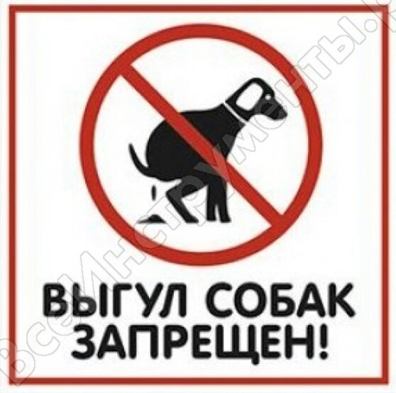 Задержанному во время прогулки с собакой в центре Москвы грозит арест