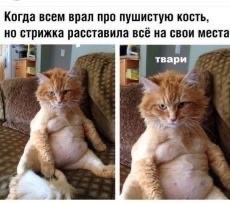 Бредзона 15.04.2020
