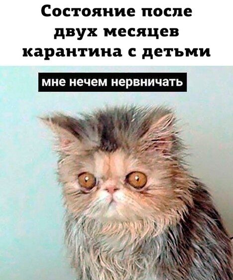 Так себе картинки 13.06.20