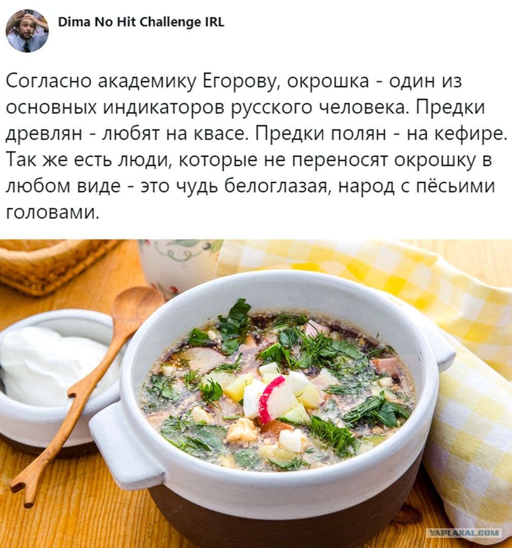 Окрошка от Каневского - ЯПлакалъ