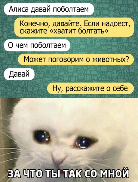 Немного картинок для настроения 18.07.20