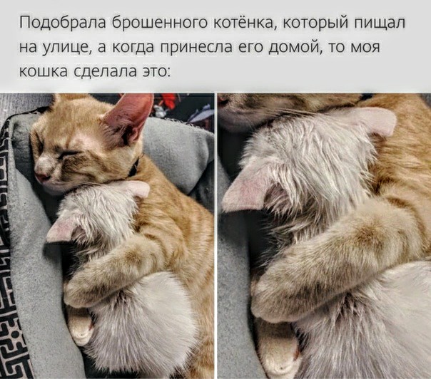 Немного картинок для настроения 25.07.20
