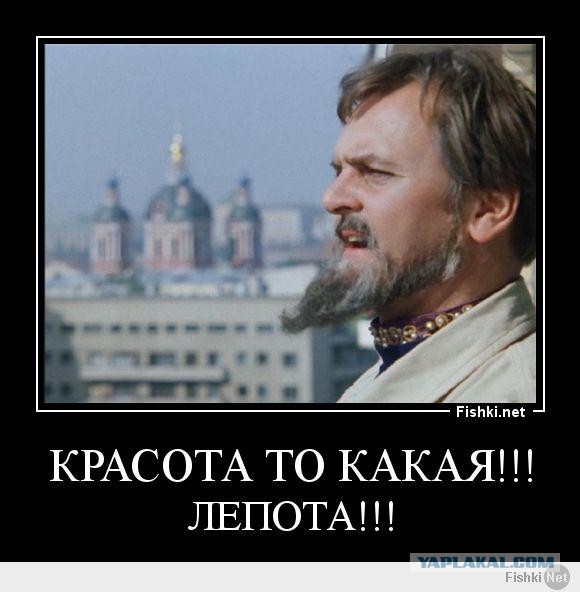 Прикольные и просто красивые картинки 24.08.2020