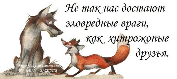 Немного картинок для настроения 22.10.20