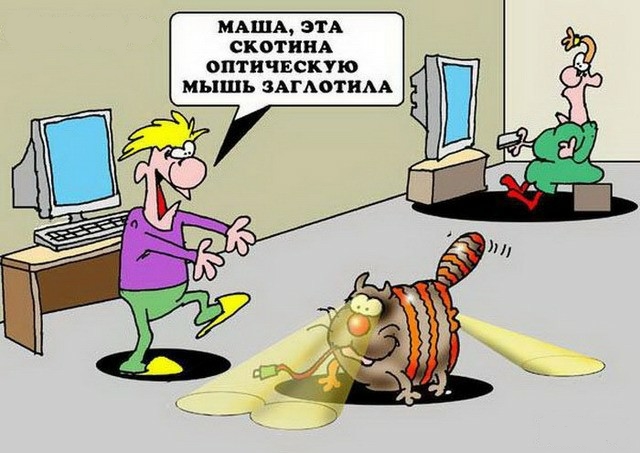 С котопятницей! Улыбнемся?