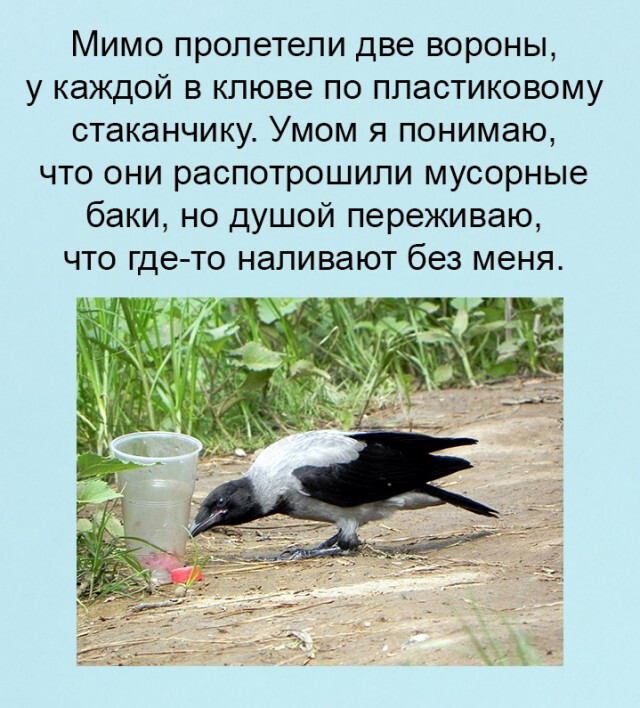Фотки и картинки: юморные и красивые, забавные и милые 20.04.21