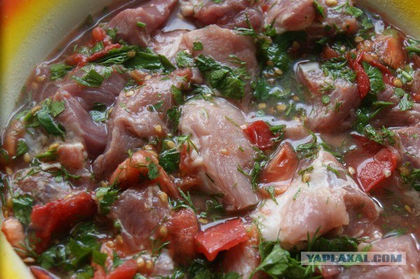 Шашлык, рецепты маринада, все про шашлык!