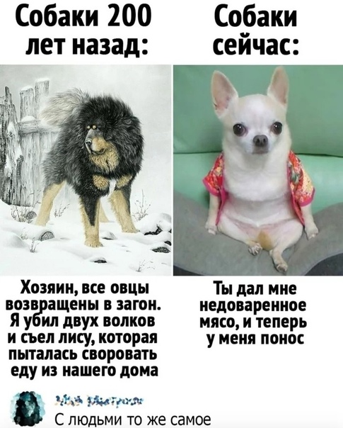 Картинки и мемы для настроения 029