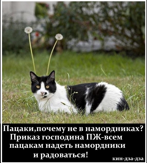 Картинки и мемы 08.10.2021