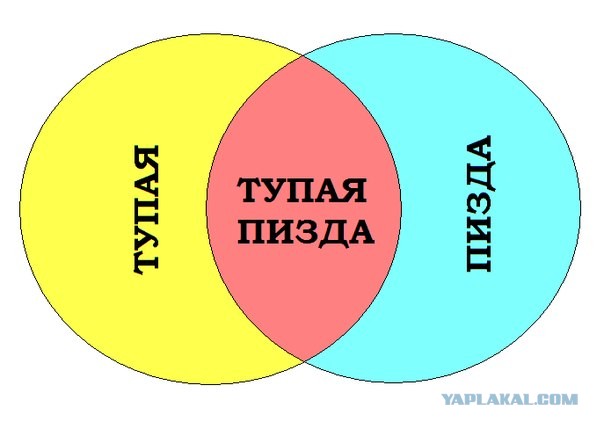 «Наши женщины берут мужчин не в мужья, а на воспитание…»