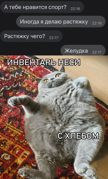 Весёлый полтишок 03.01