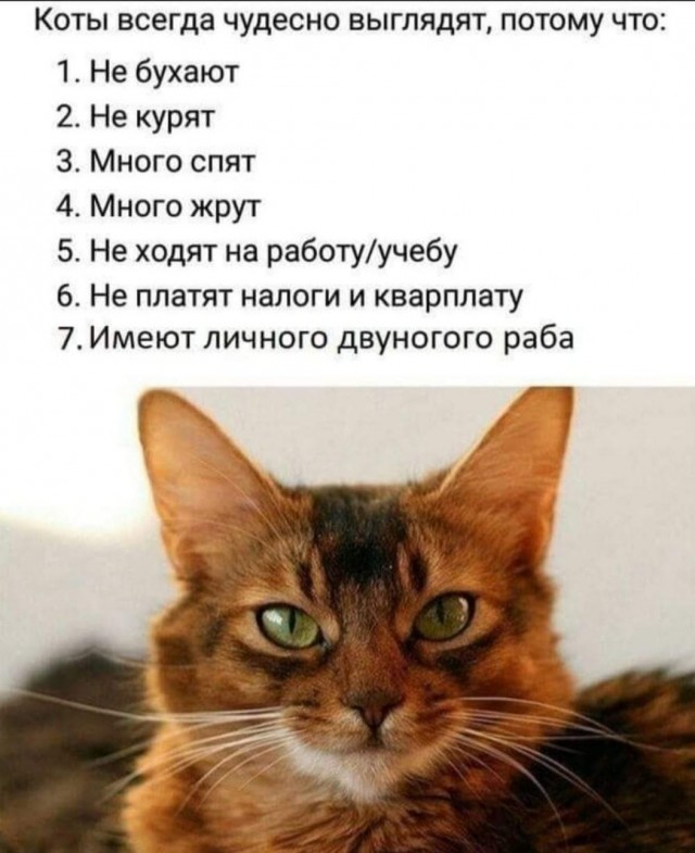 Так себе картинки 15.04.22