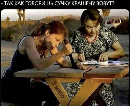 Весёлый полтишок 04.07.22