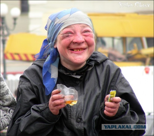 4 года псу под хвост?