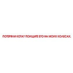 Зверь вышел из клетки