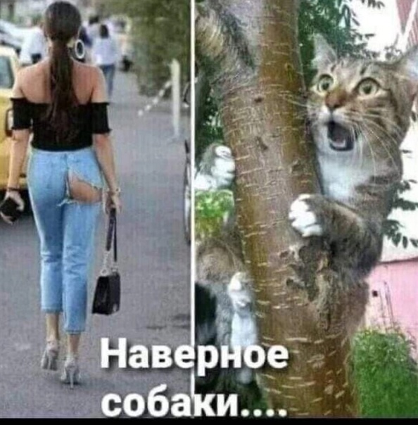 Почему женщина не кончает от секса
