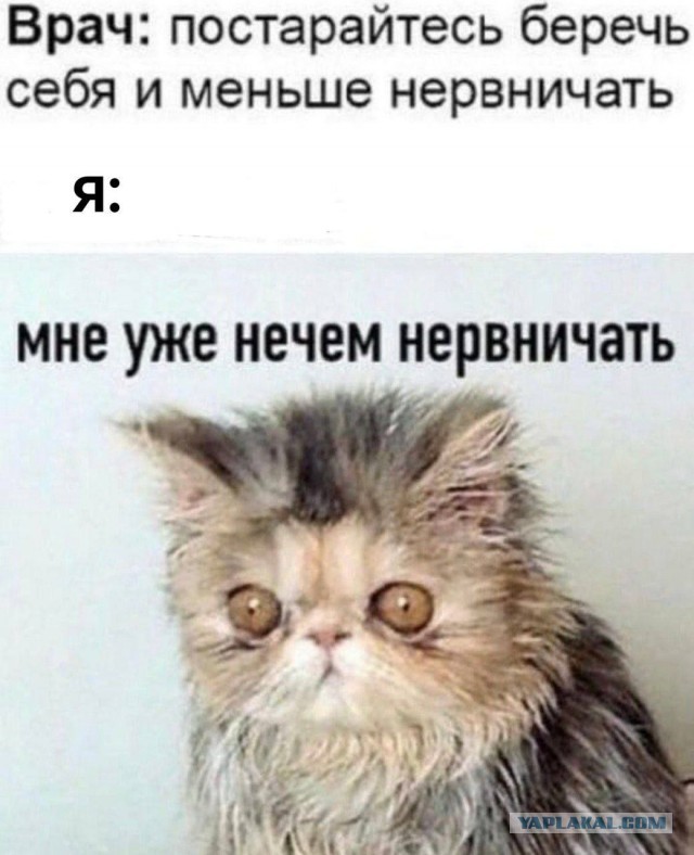 50 оттенков серого или самосвал баянов. Vol. 18. 50 штук.