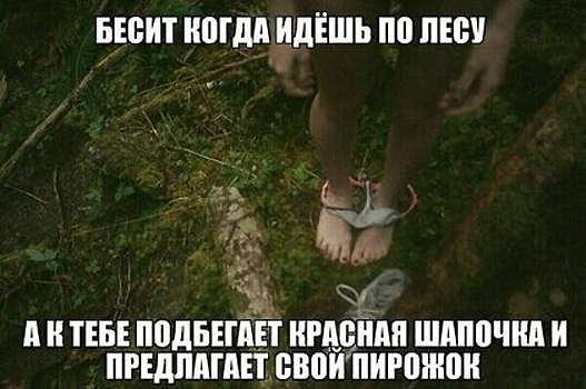 Мой сборник баянов