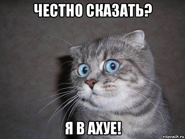 Мемчики. Опишите одним мемом, как дела, что на душе?