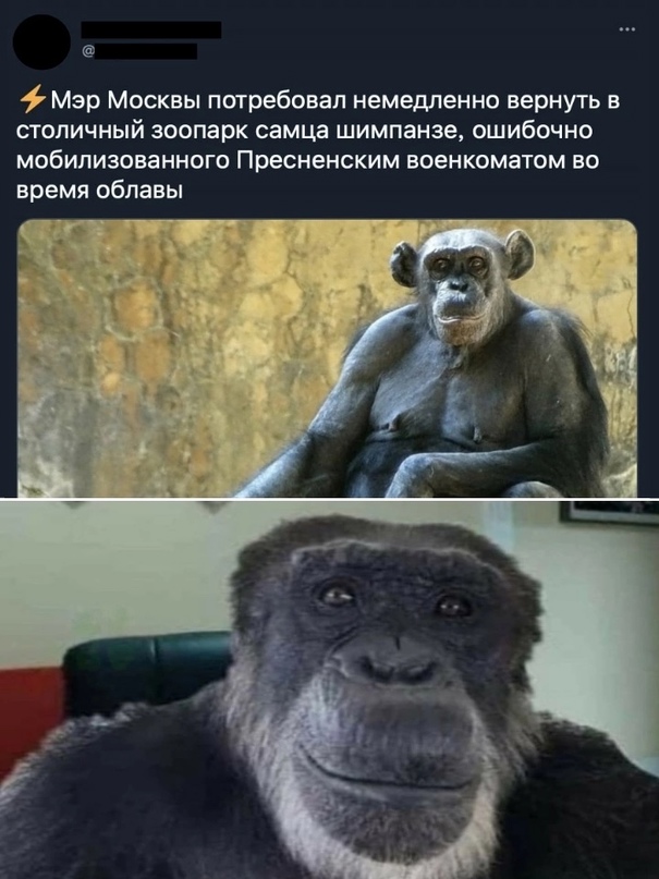 Картинки и мемы для настроения - 119