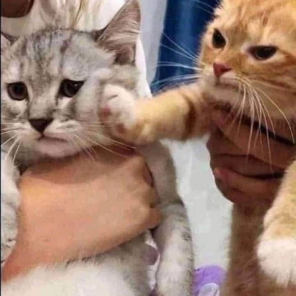 С*ка