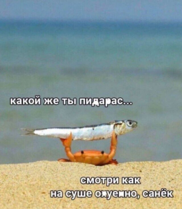 Юмор в картинках и без