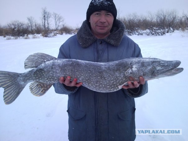 Рыбалки пост