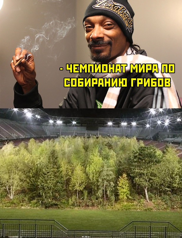 Весёлый полтишок 11.01.23