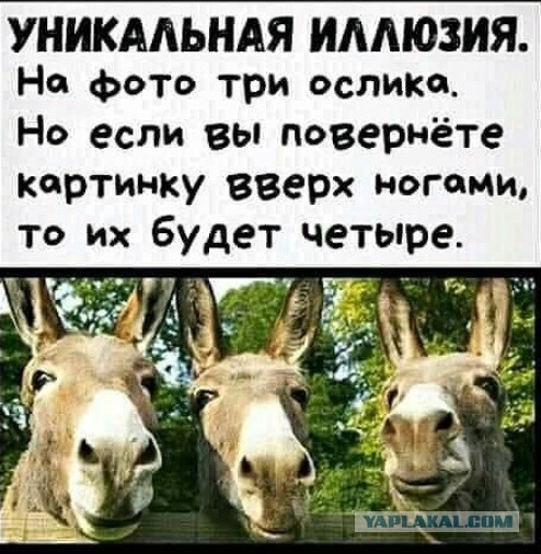 Из серии показалось