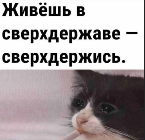 «Если не зашёл в личный кабинет на Госуслуги? Это ваши проблемы»